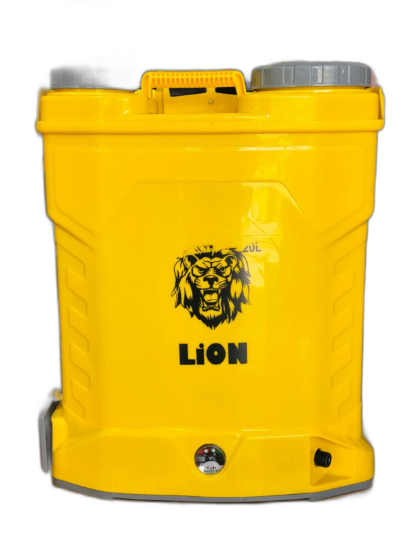 LION - DP